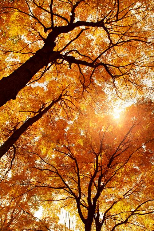 Sustainable Economies empowers organizations like Summit Metro Parks to create positive change.